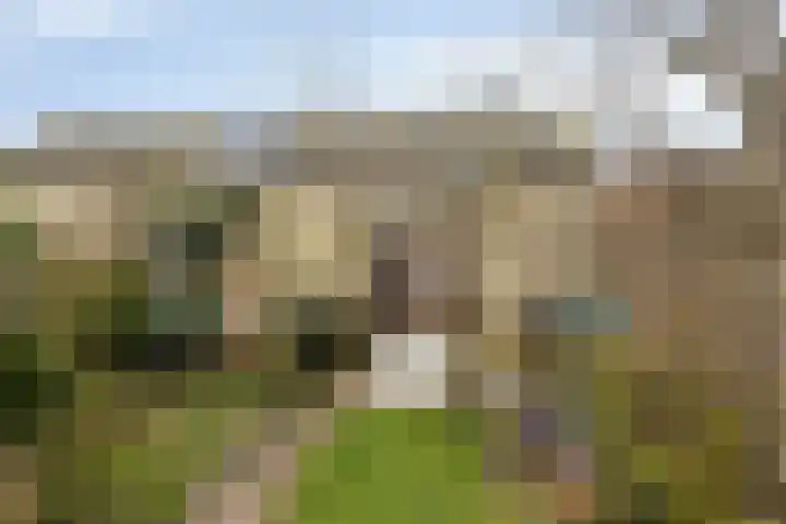 Buitendijklaan 67 Leiderdorp thumbnail 19