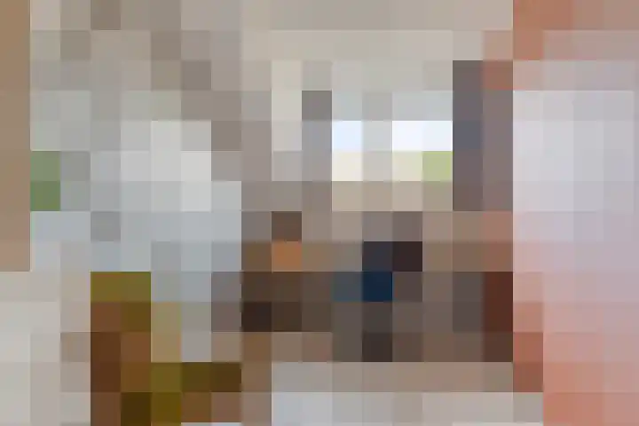 Buitendijklaan 67 Leiderdorp thumbnail 21