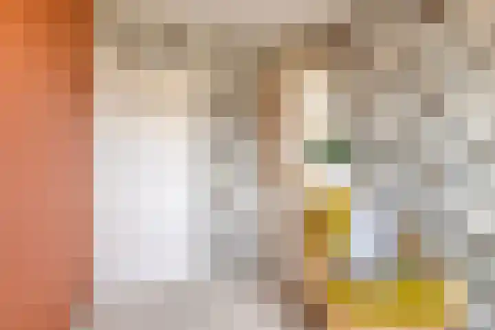Buitendijklaan 67 Leiderdorp thumbnail 22