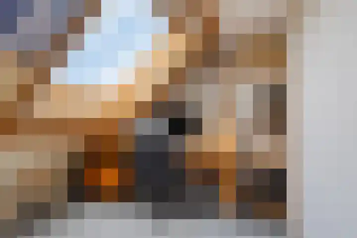 Buitendijklaan 67 Leiderdorp thumbnail 33