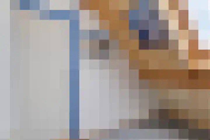 Buitendijklaan 67 Leiderdorp thumbnail 34