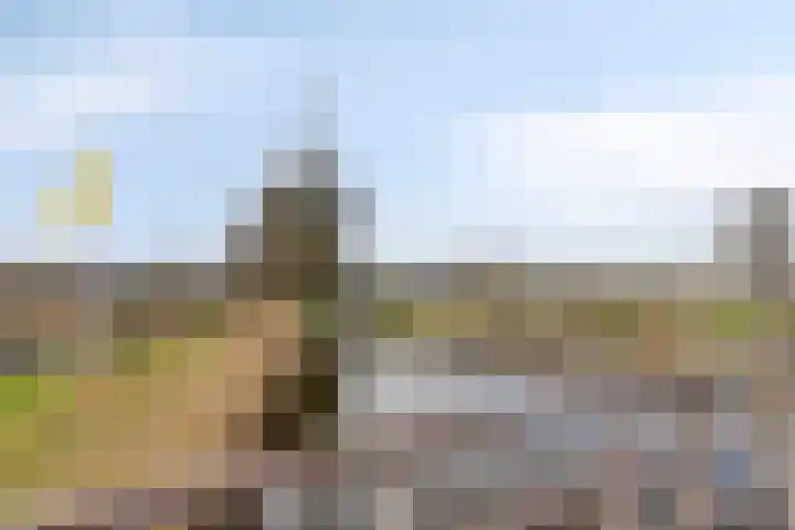 Buitendijklaan 67 Leiderdorp thumbnail 36