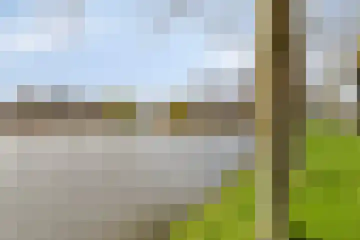 Buitendijklaan 67 Leiderdorp thumbnail 37