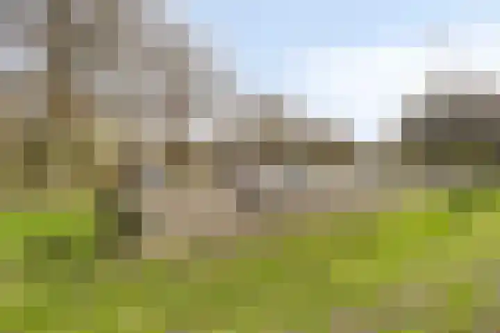 Buitendijklaan 67 Leiderdorp thumbnail 39