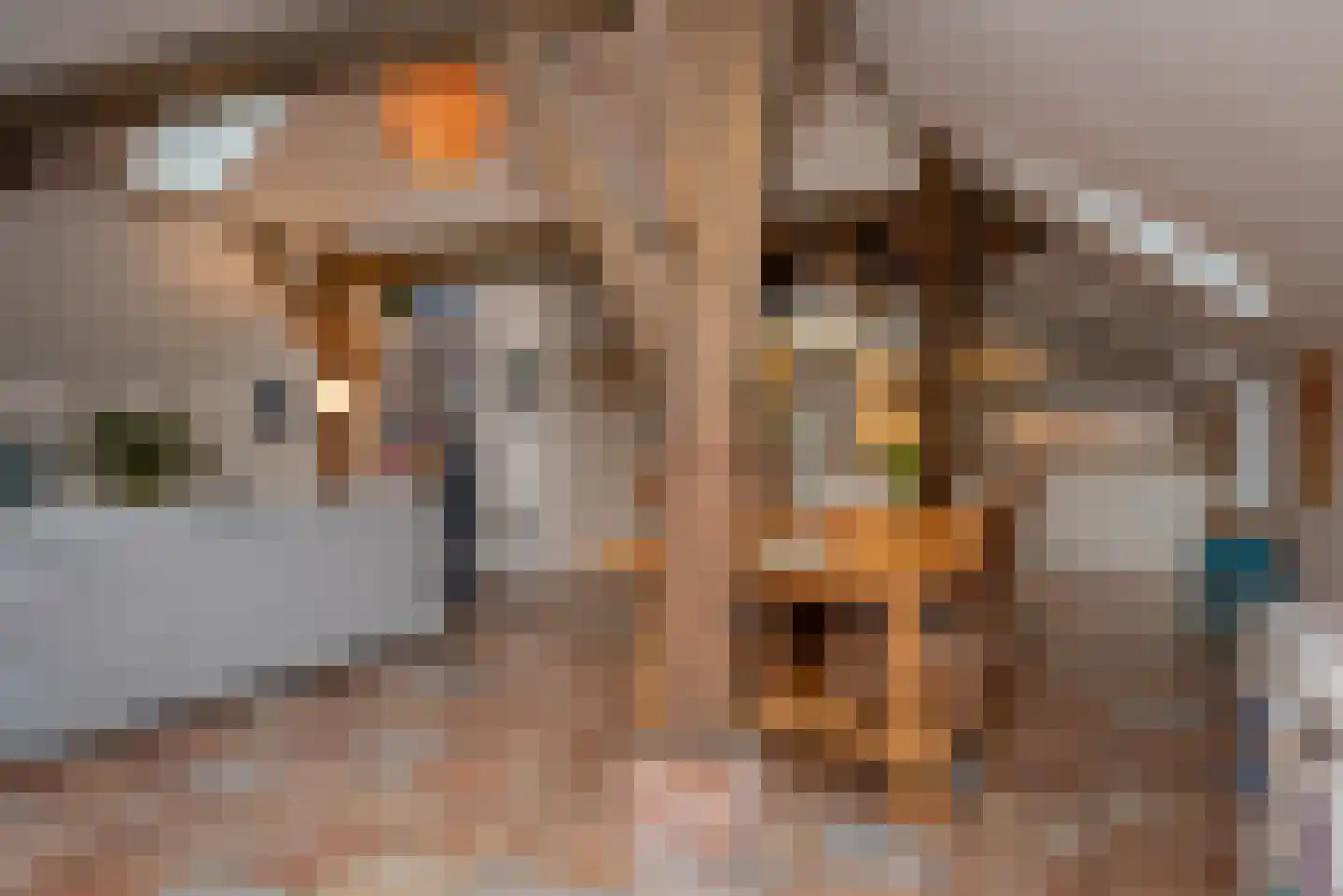 Buitendijksweg 10 B Kampen thumbnail 12