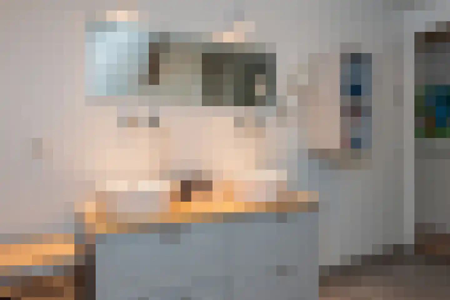 Buitendijksweg 10 B Kampen thumbnail 25