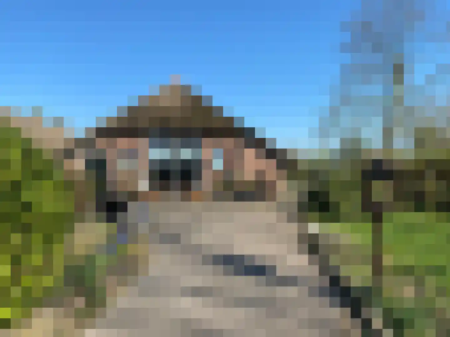Buitendijksweg 10 B Kampen thumbnail 31