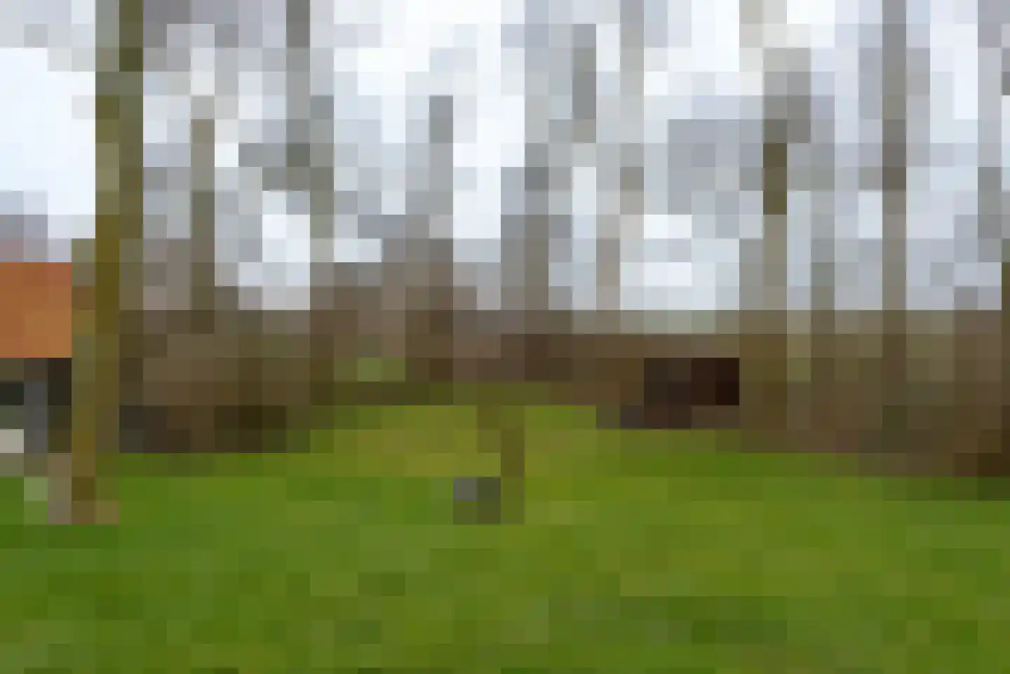 Buitendijksweg 10 B Kampen thumbnail 34