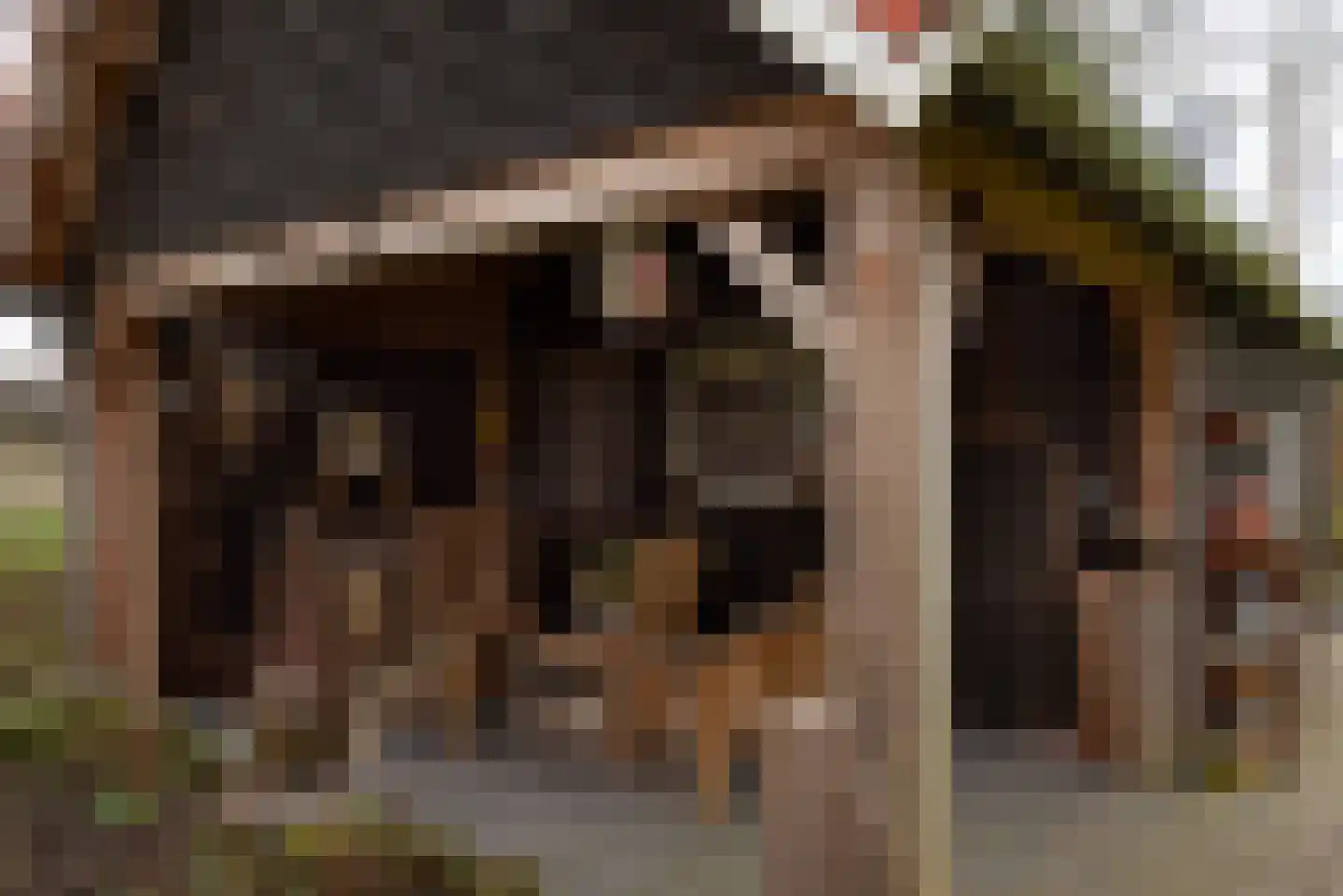 Buitendijksweg 10 B Kampen thumbnail 36