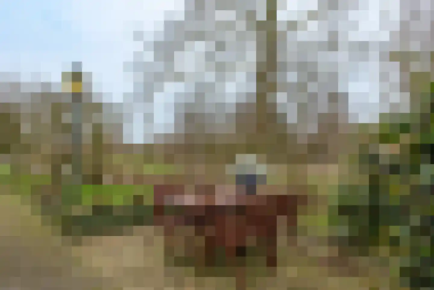 Buitendijksweg 10 B Kampen thumbnail 40