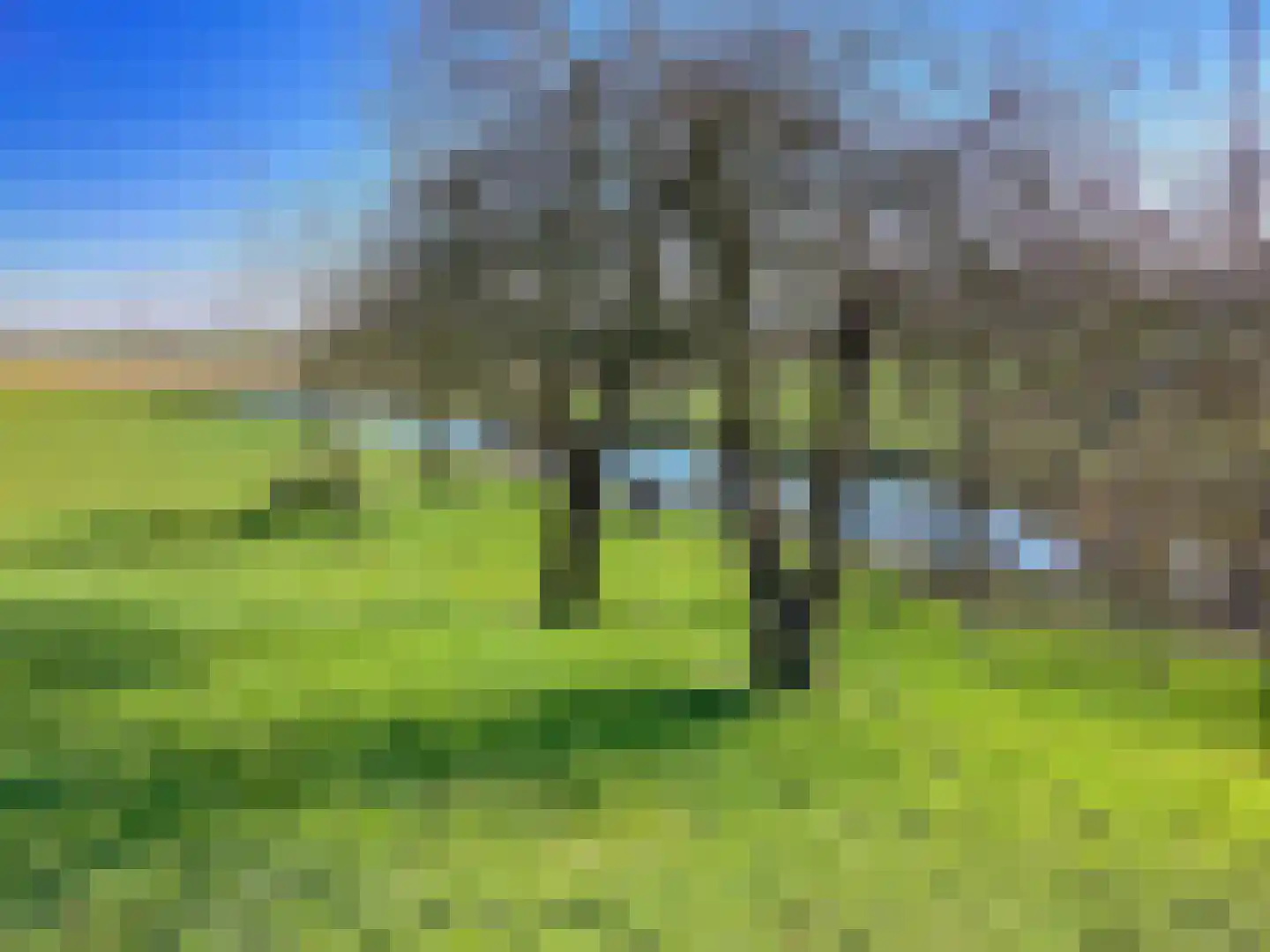 Buitendijksweg 10 B Kampen thumbnail 45