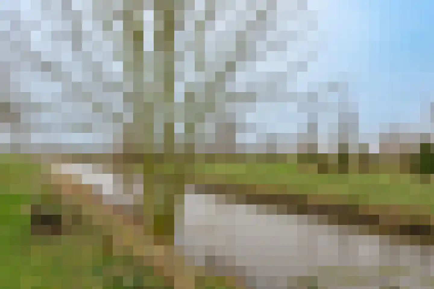 Buitendijksweg 10 B Kampen thumbnail 46