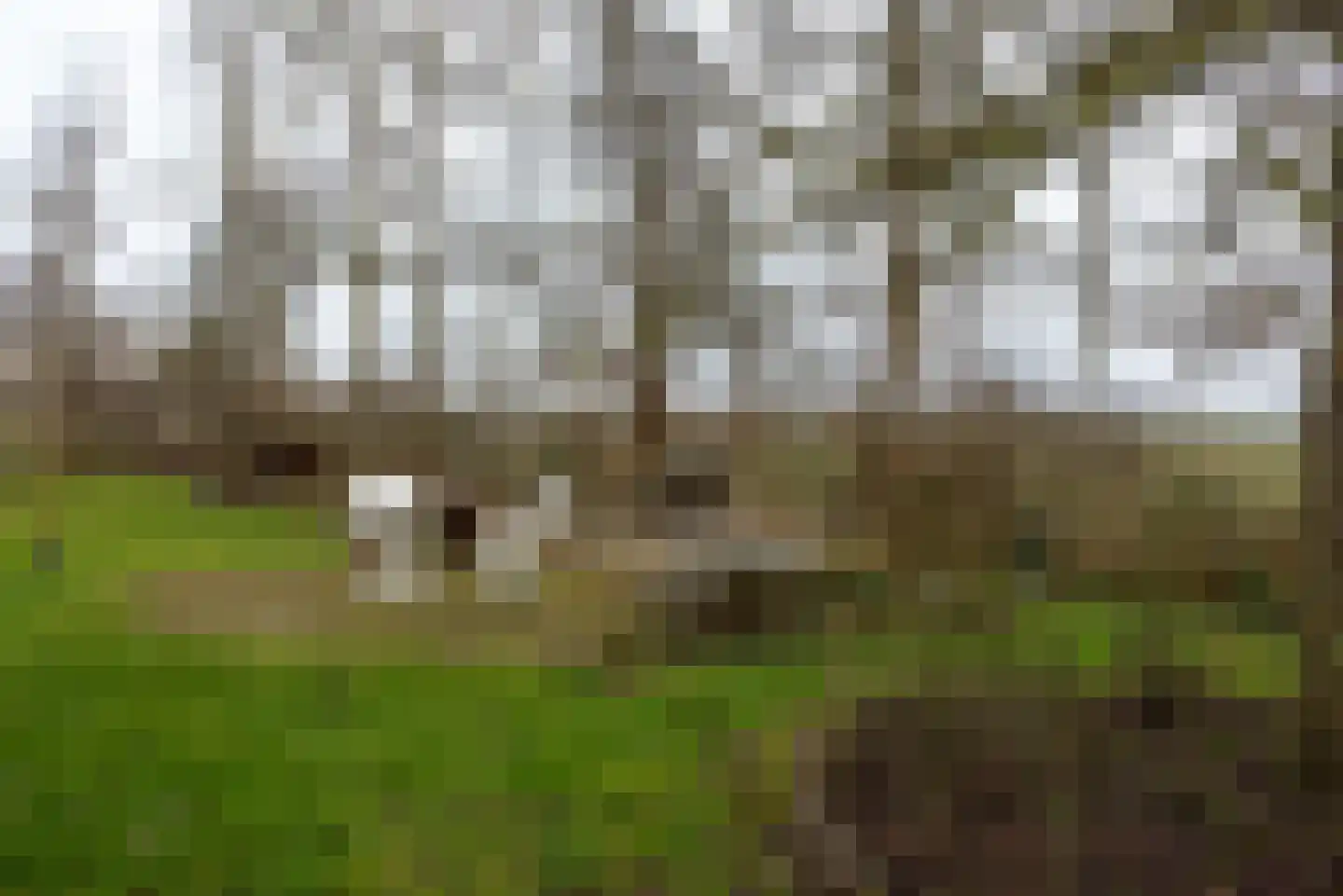 Buitendijksweg 10 B Kampen thumbnail 47