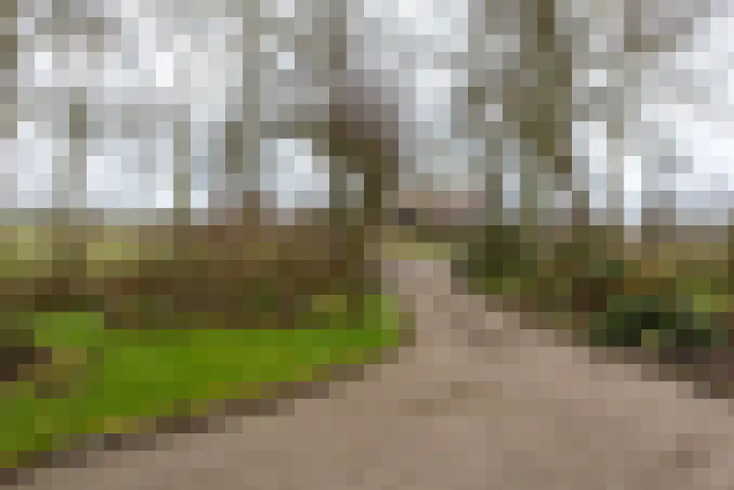 Buitendijksweg 10 B Kampen thumbnail 48