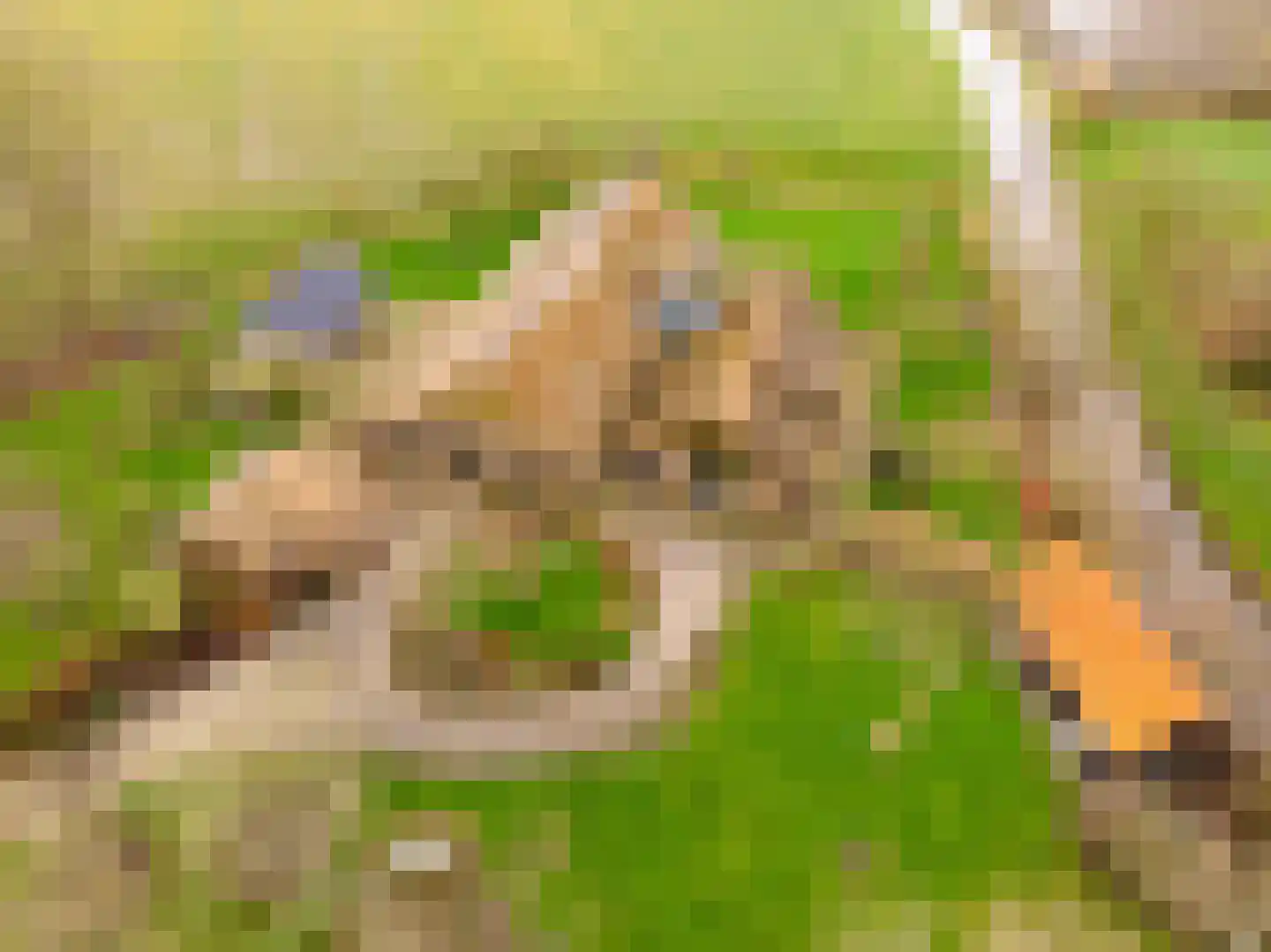 Buitendijksweg 10 B Kampen thumbnail 54
