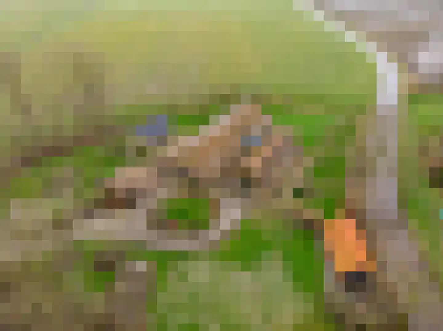 Buitendijksweg 10 B Kampen thumbnail 55