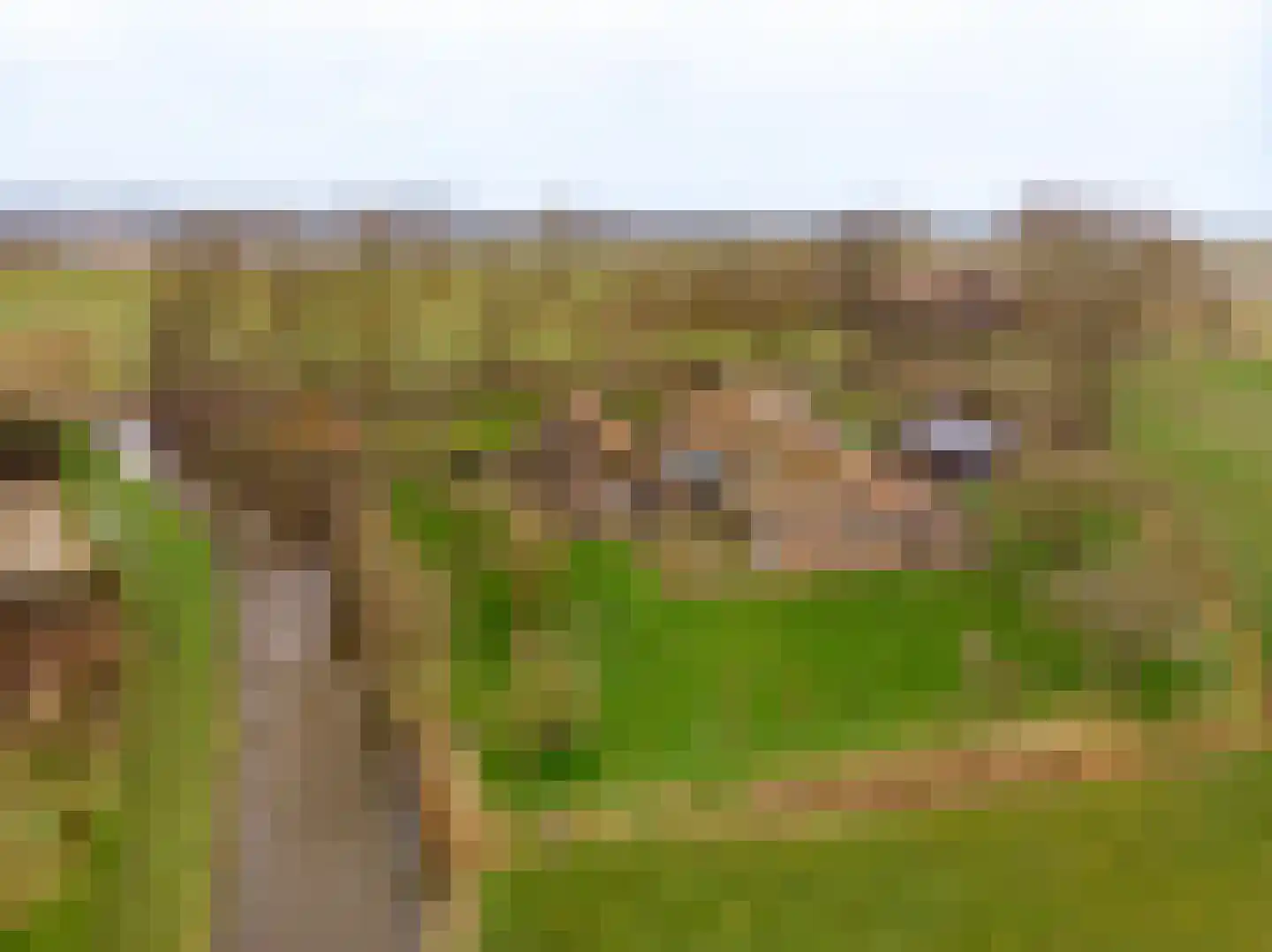 Buitendijksweg 10 B Kampen thumbnail 56