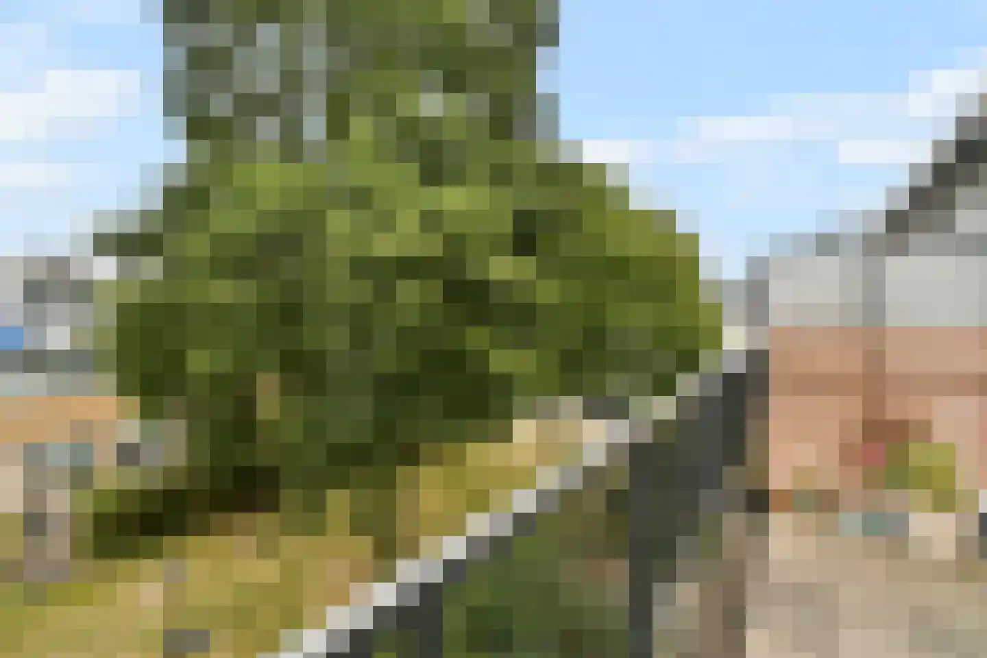 Buitendraaierij 10 Amsterdam thumbnail 4