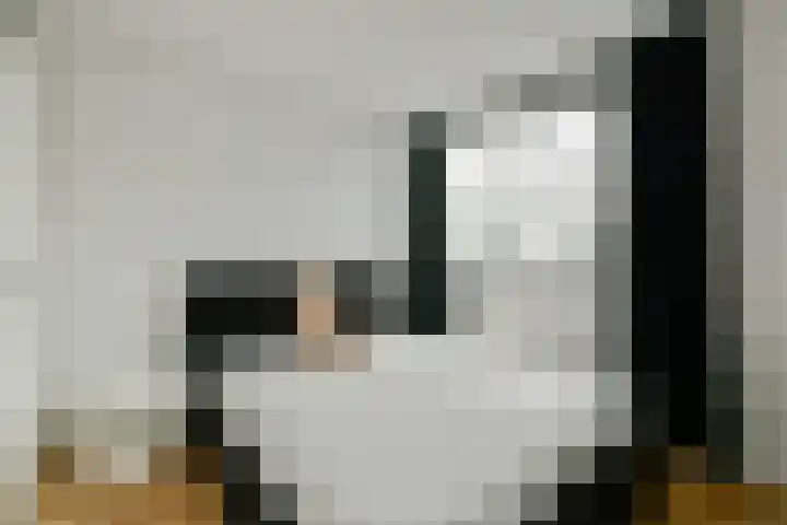 Buitendraaierij 11 Amsterdam thumbnail 5