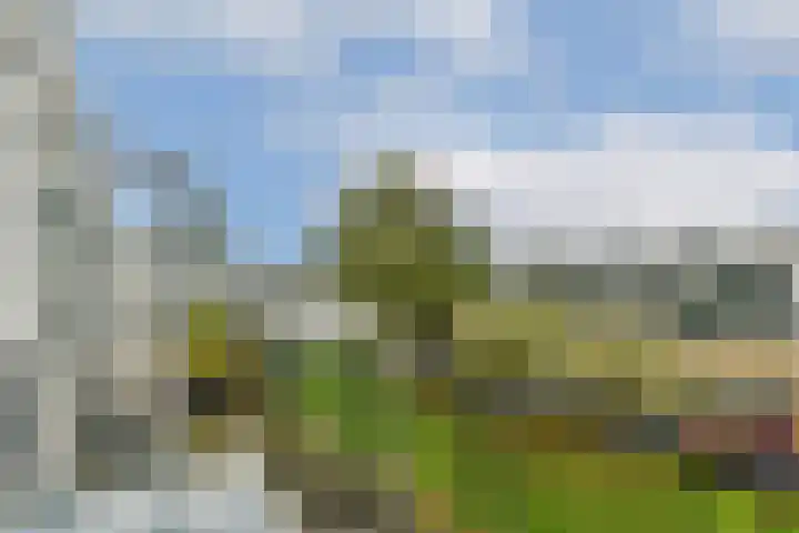 Buitendraaierij 11 Amsterdam thumbnail 6