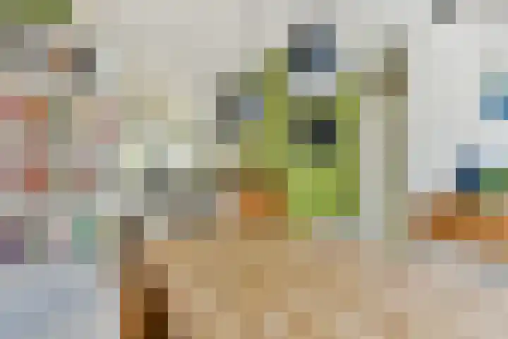 Buitendraaierij 18 Amsterdam thumbnail 12