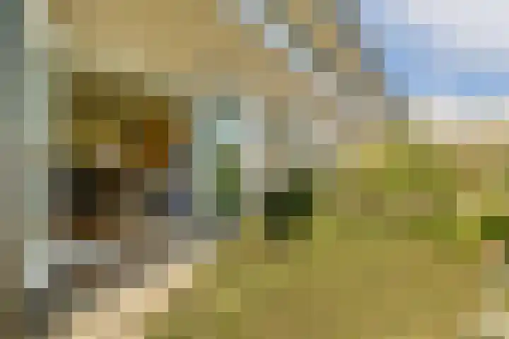 Buitendraaierij 18 Amsterdam thumbnail 13