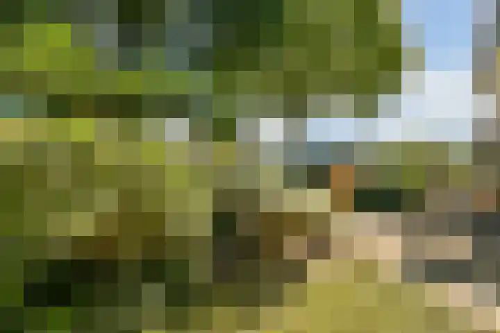Buitendraaierij 18 Amsterdam thumbnail 14