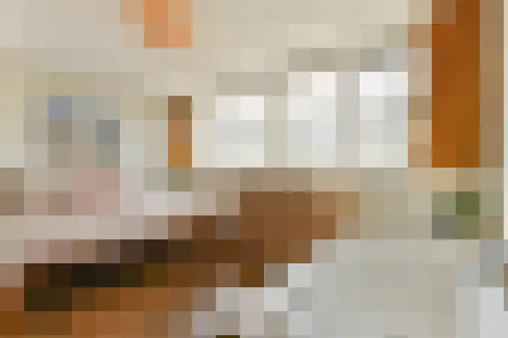 Buitendraaierij 18 Amsterdam thumbnail 16