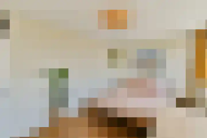 Buitendraaierij 18 Amsterdam thumbnail 17