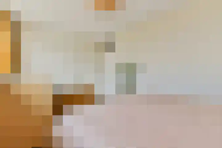 Buitendraaierij 18 Amsterdam thumbnail 18
