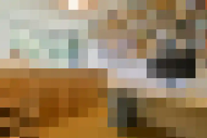 Buitendraaierij 18 Amsterdam thumbnail 24