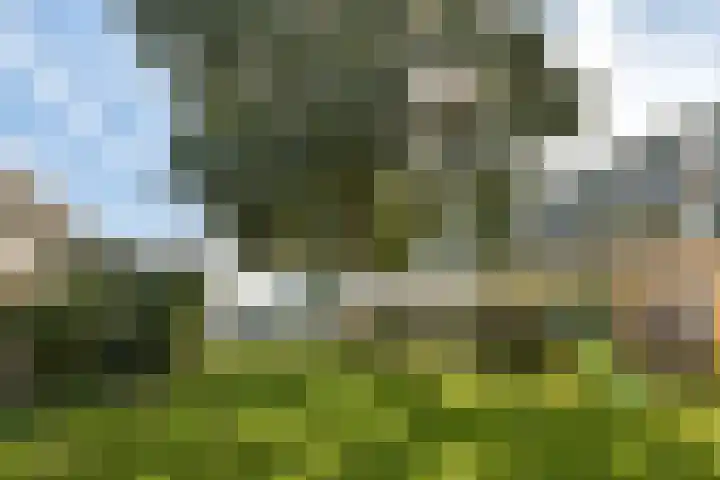 Buitendraaierij 18 Amsterdam thumbnail 33