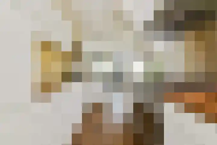 Buitendraaierij 18 Amsterdam thumbnail 9