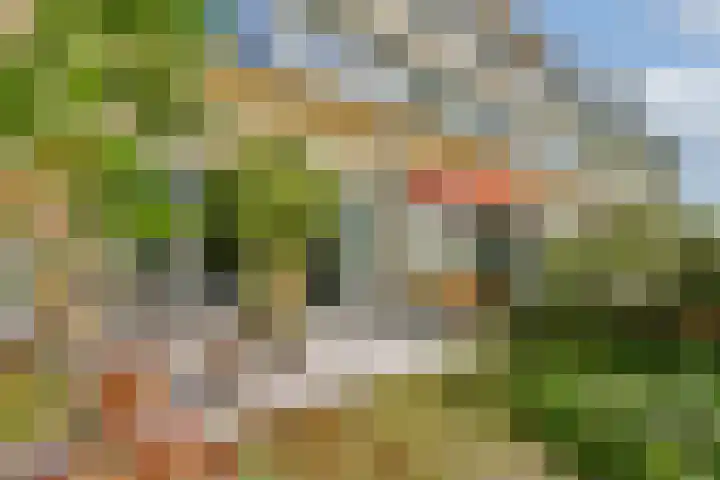 Buitendraaierij 21 Amsterdam thumbnail 11