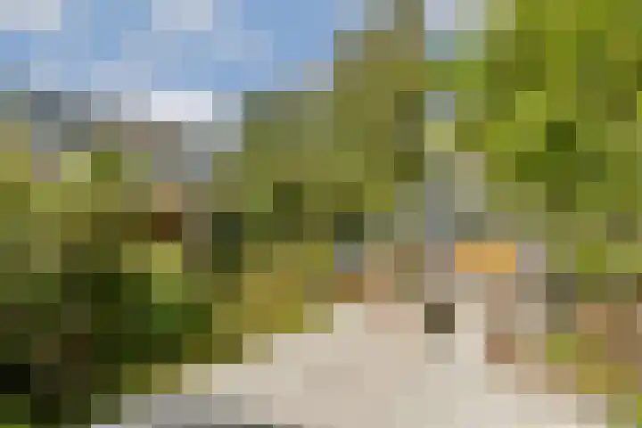 Buitendraaierij 21 Amsterdam thumbnail 12