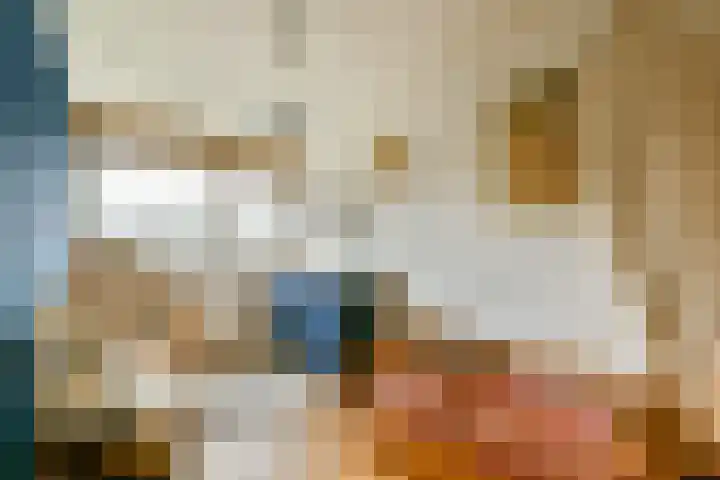 Buitendraaierij 21 Amsterdam thumbnail 18