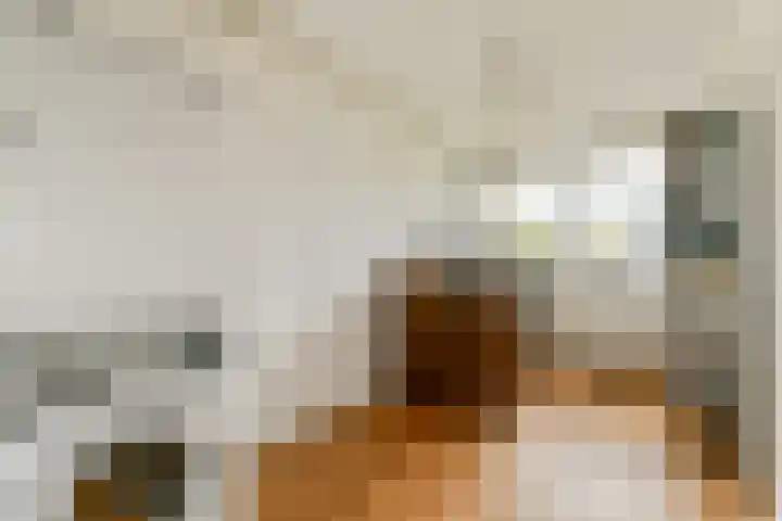 Buitendraaierij 21 Amsterdam thumbnail 20