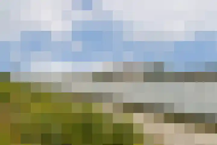 Buitendraaierij 21 Amsterdam thumbnail 23