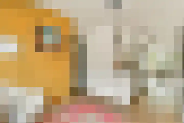 Buitendraaierij 21 Amsterdam thumbnail 7