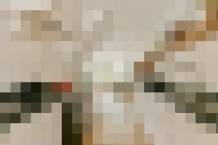 Buitendraaierij 21 Amsterdam thumbnail 8