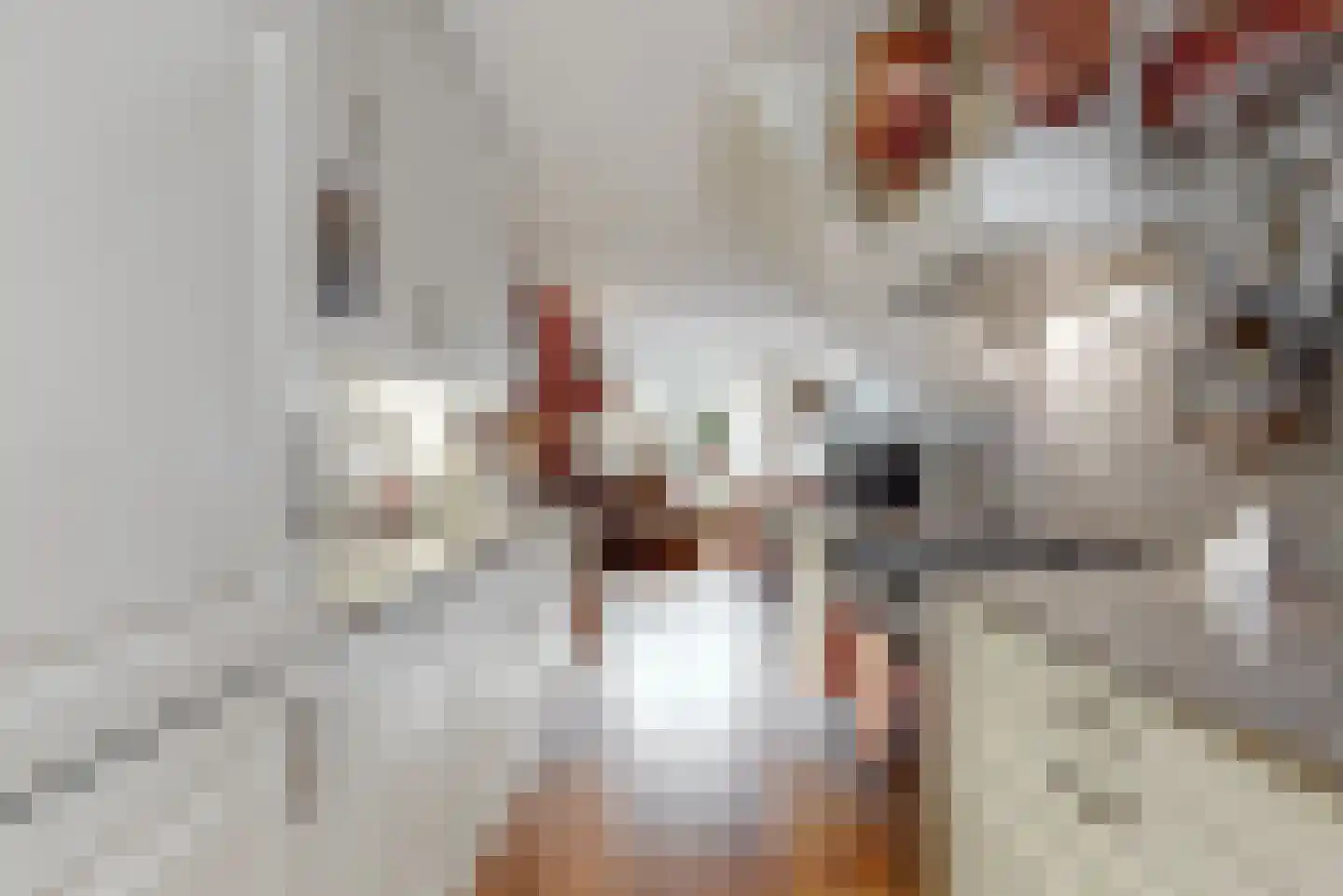 Buitendraaierij 24 Amsterdam thumbnail 5
