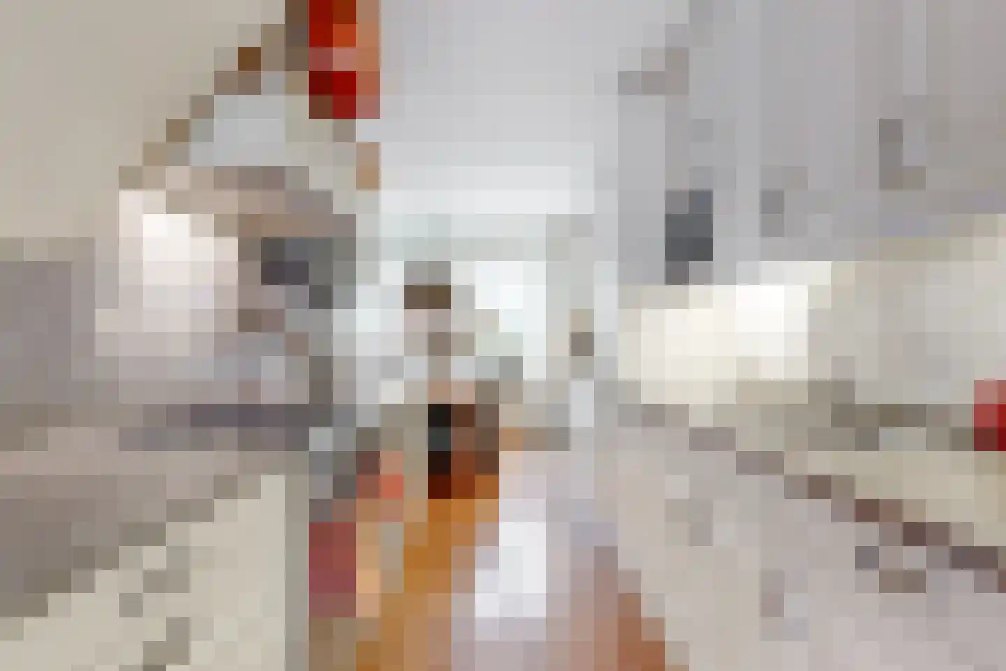Buitendraaierij 24 Amsterdam thumbnail 9