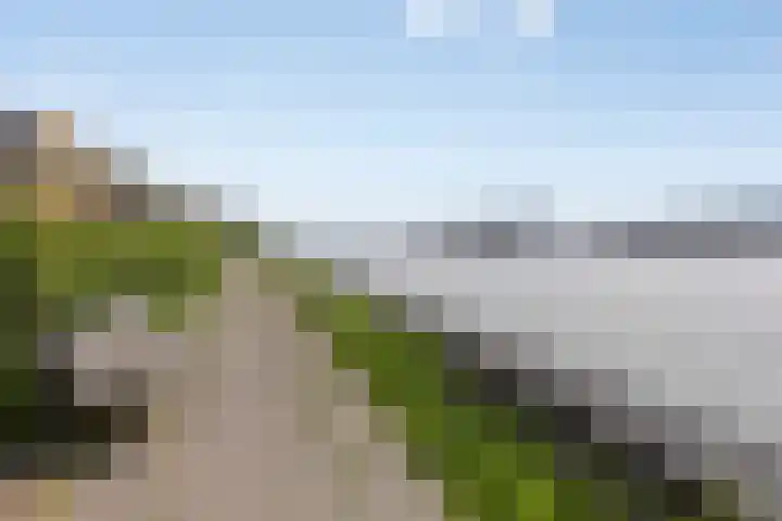 Buitendraaierij 28 Amsterdam thumbnail 28
