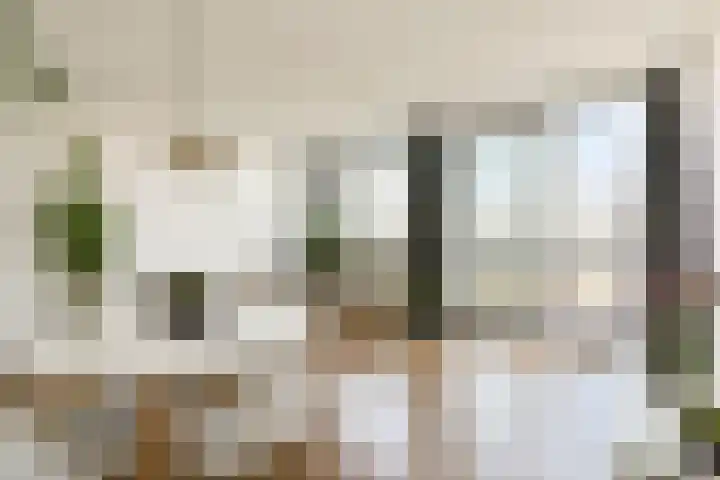 Buitendraaierij 38 Amsterdam