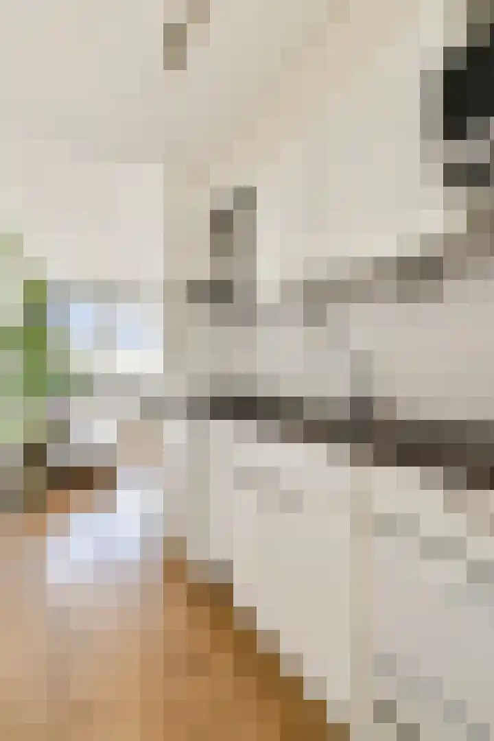 Buitendraaierij 38 Amsterdam thumbnail 7
