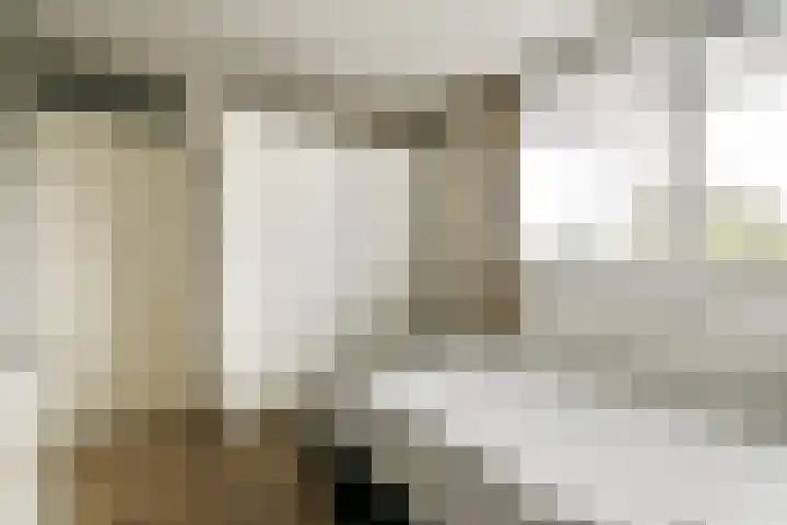 Buitendraaierij 47 Amsterdam thumbnail 16