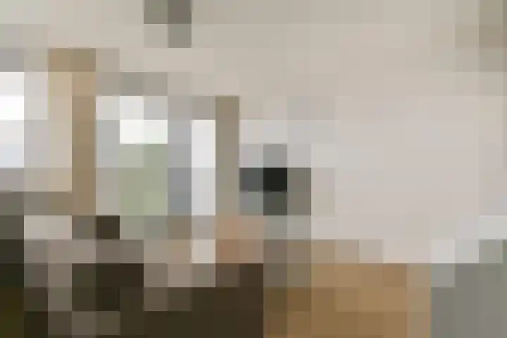 Buitendraaierij 47 Amsterdam thumbnail 4