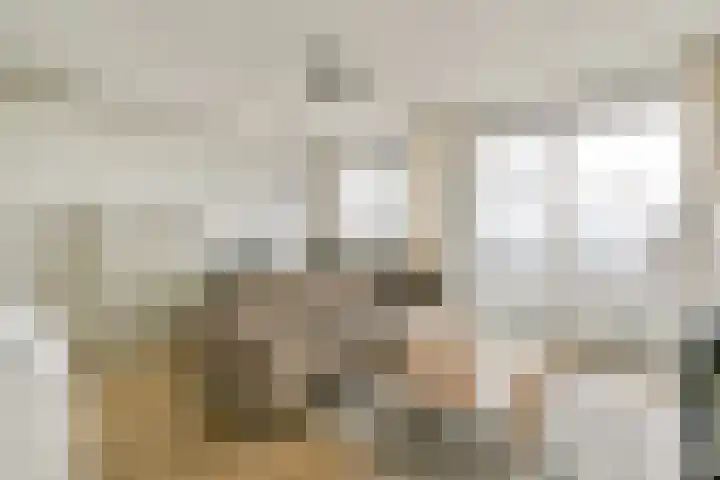 Buitendraaierij 47 Amsterdam thumbnail 5