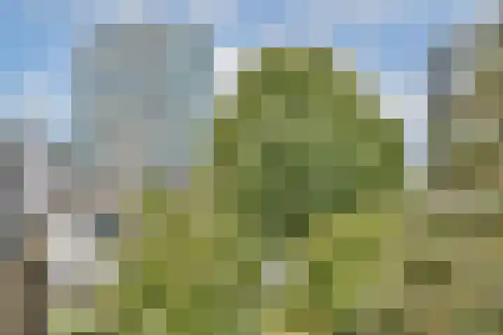 Buitendraaierij 47 Amsterdam thumbnail 7