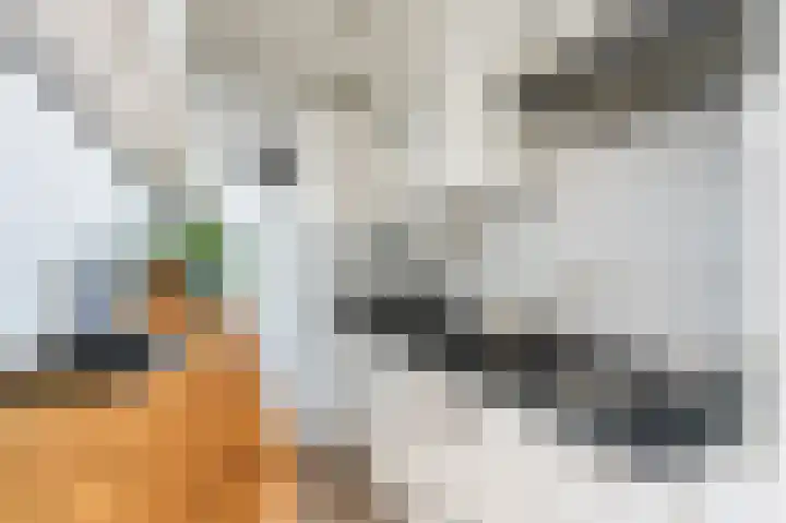Buitendraaierij 64 Amsterdam thumbnail 14